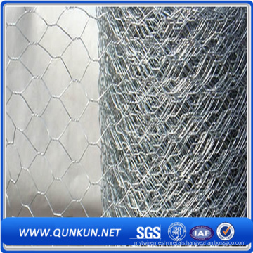 High Quality 1/2 Galvanized Hexagonal Wire Mesh for Chicken Breeding